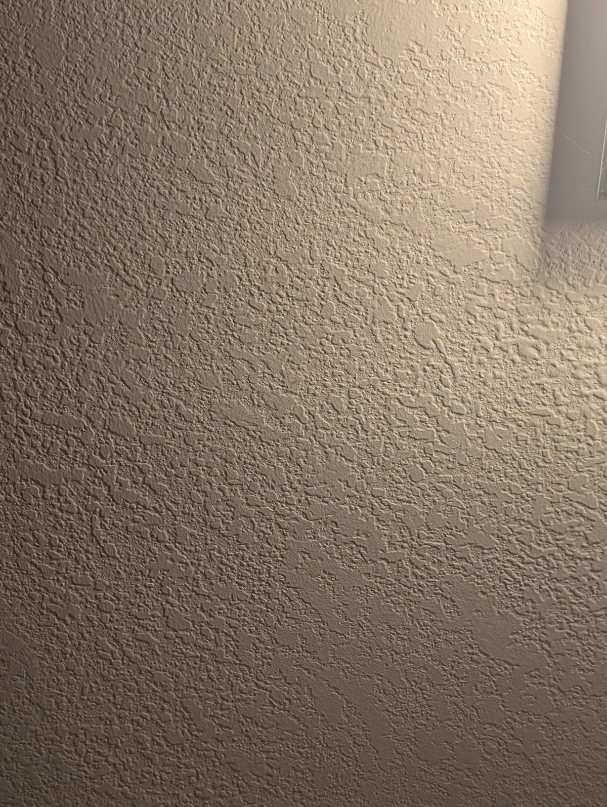 PXL_20260424_153117075.jpg