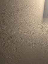 PXL_20260424_153117075.jpg